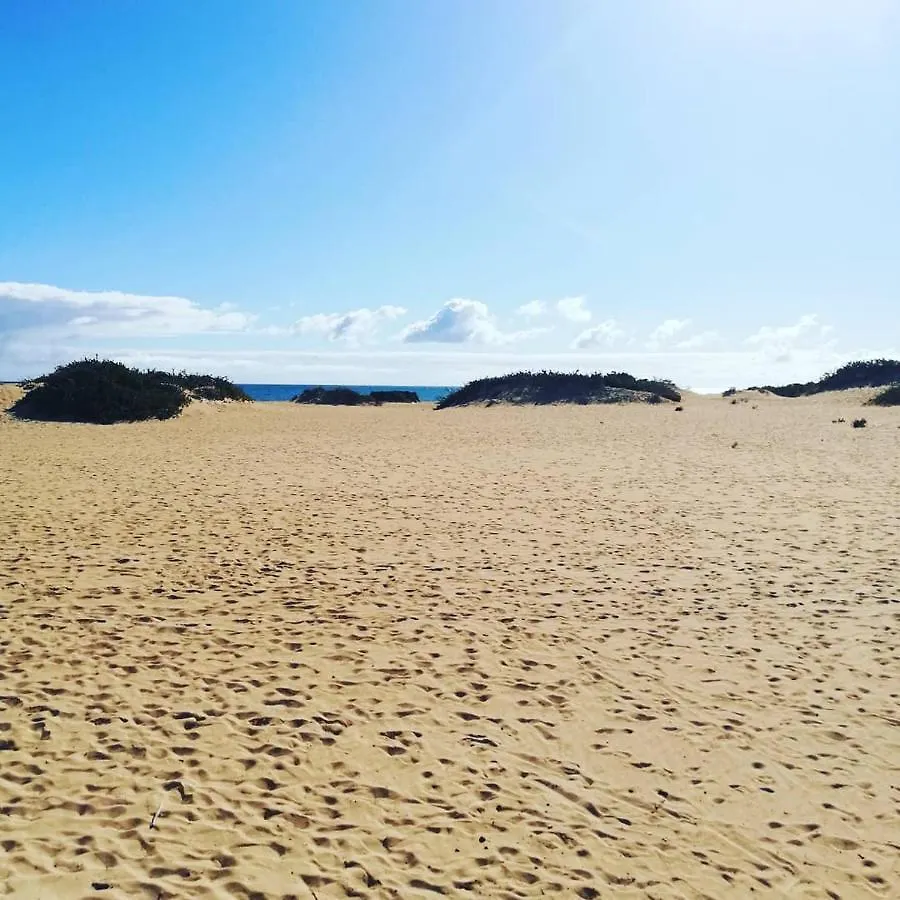 公寓 Appartement Vue Mer Et Soleil Toute L Annee 科斯塔德安提瓜 西班牙